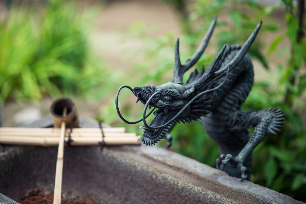 Test image from Nikon D610