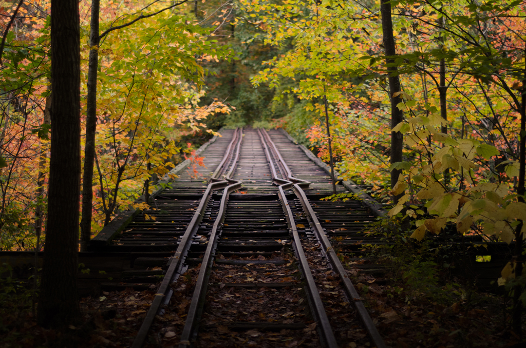 Train Tracks in Autumn