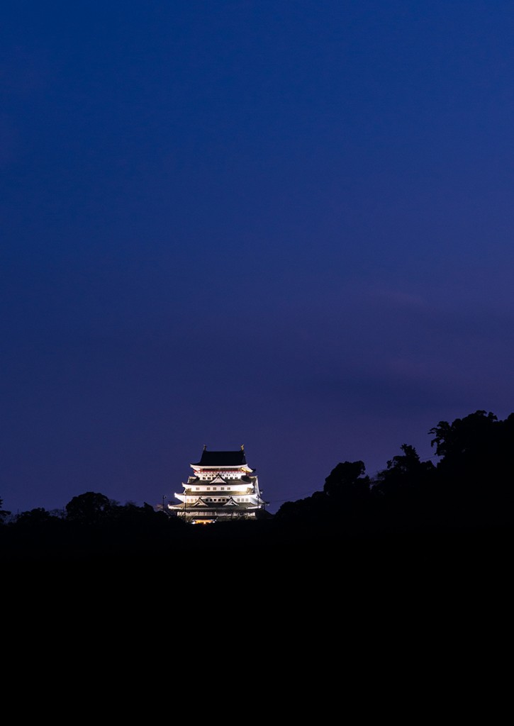 Photo of Atami Castle