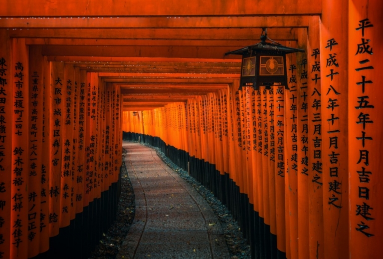 Lantern and torii gates at Fushimi Inari