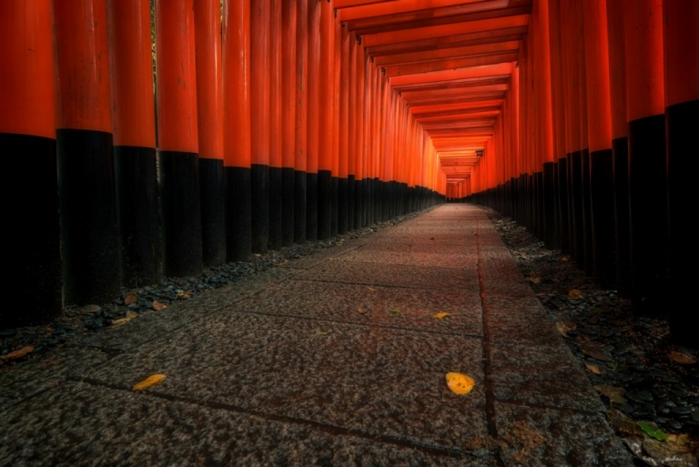 Torii gate path in Kyoto