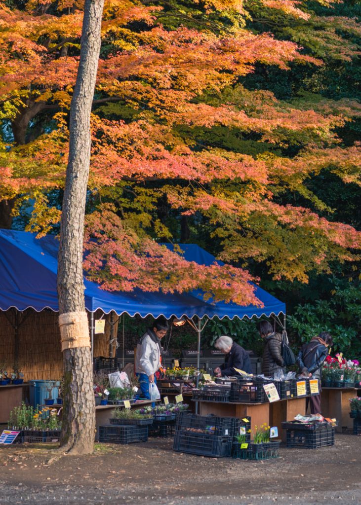 Autumn market Tokyo