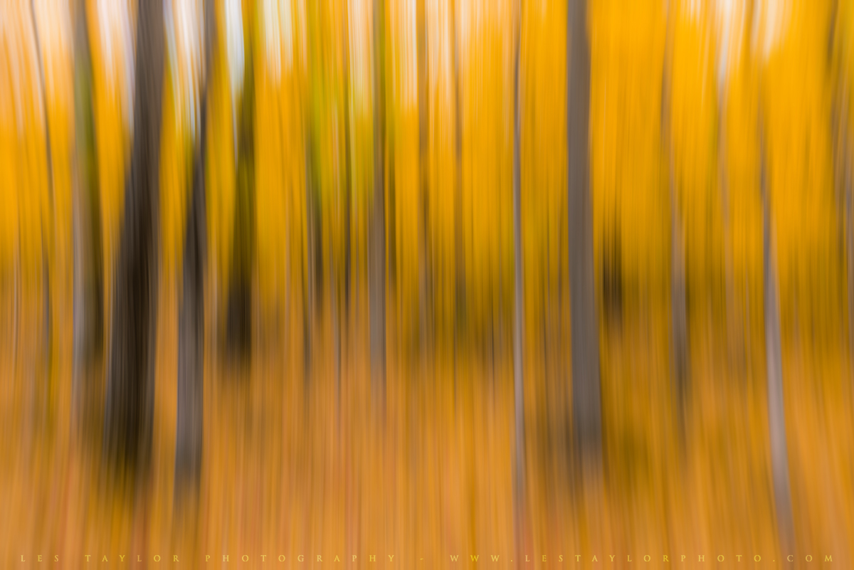 Abstract autumn image dragging