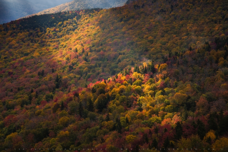 White Mountains Autumn