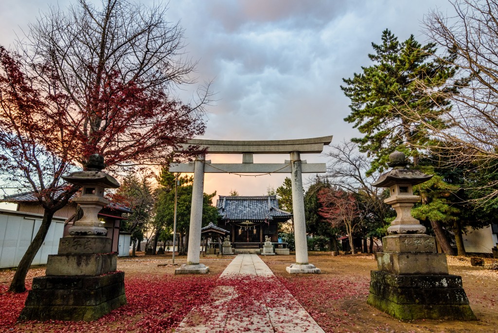 Photo of Japanese Shrine