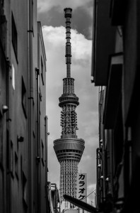 Photo of the Tokyo Skytree