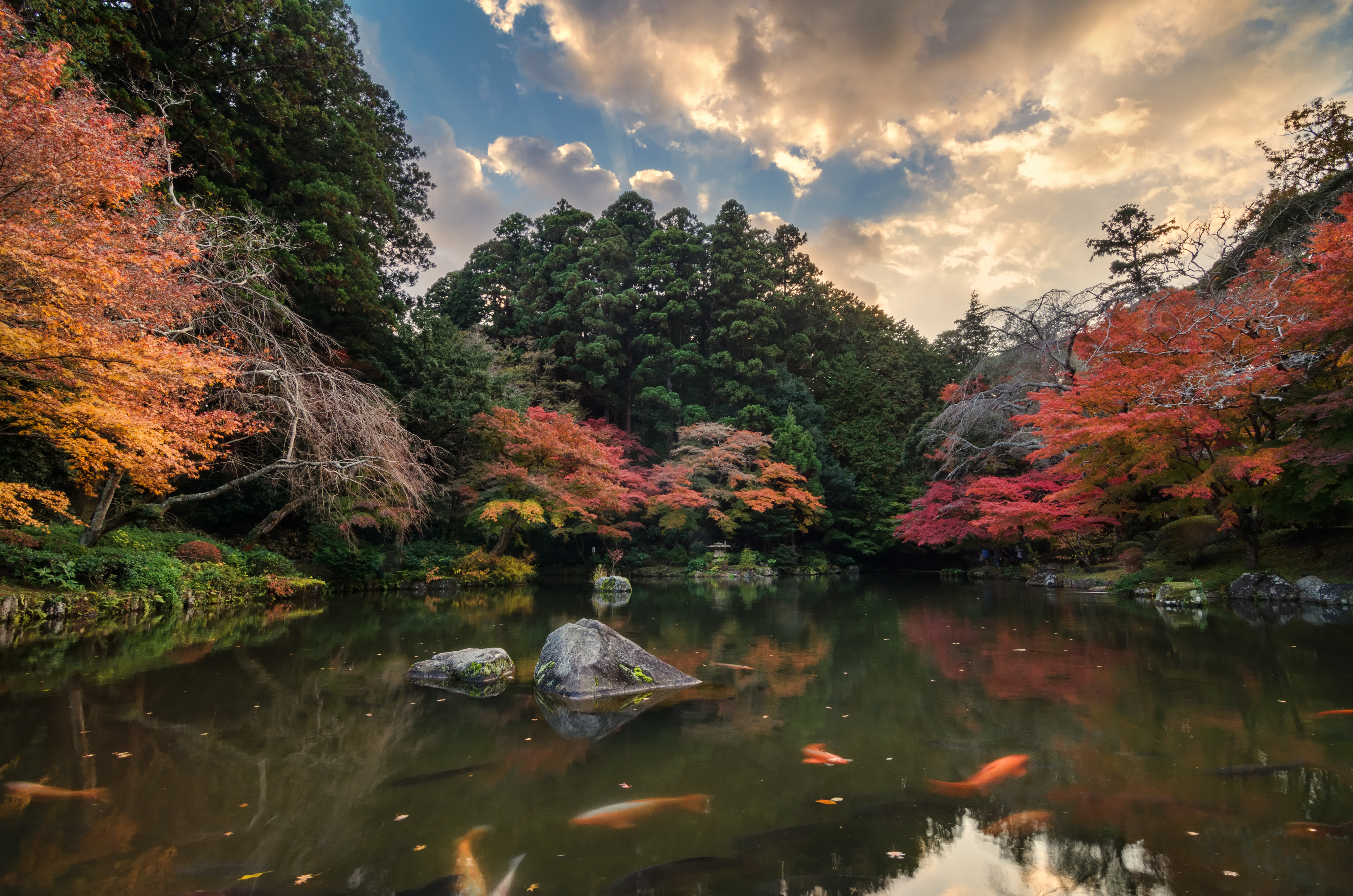 Photo of Japan in Autumn