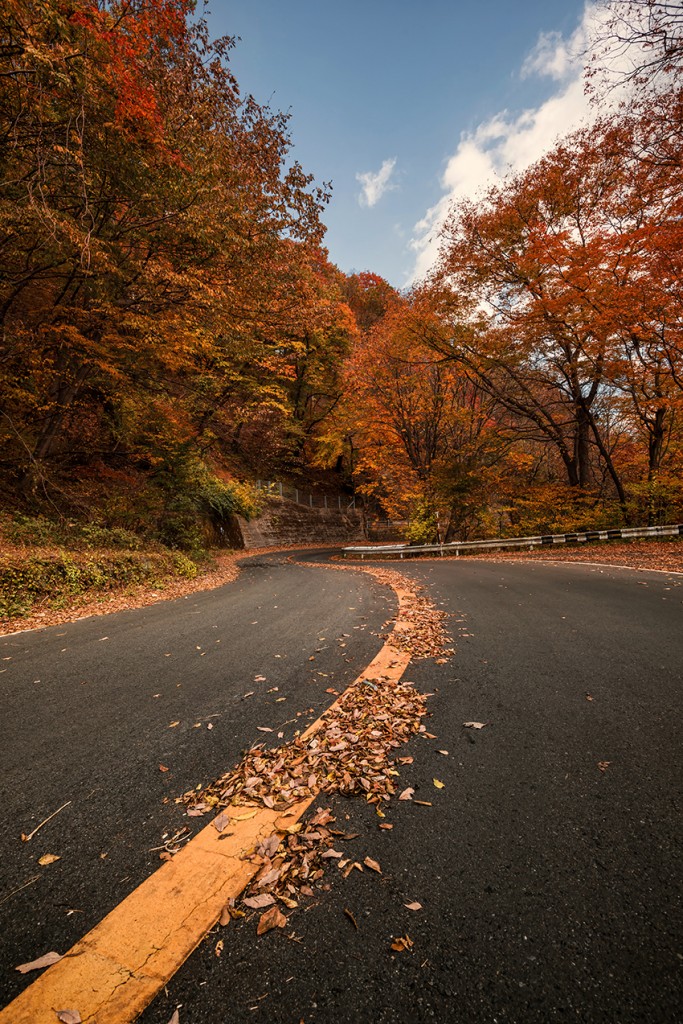 Photo of road in autumn
