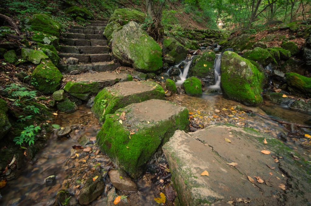 Stepping stones in stream