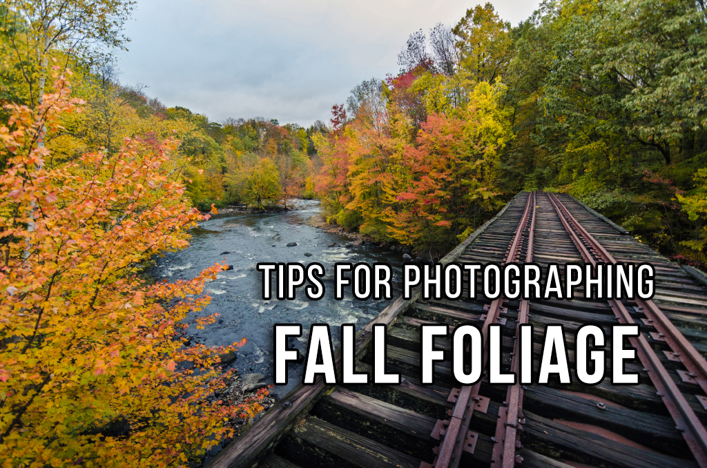 Tips for photographing fall foliage