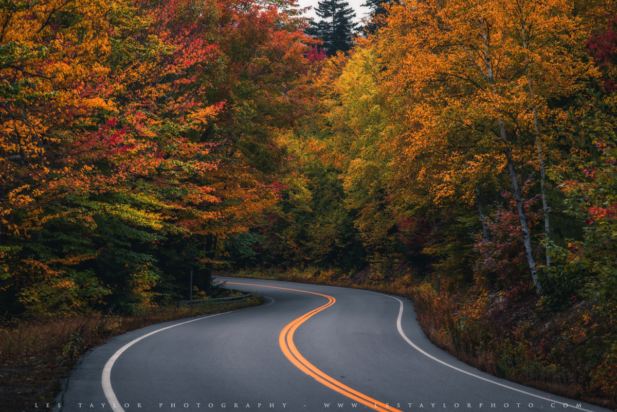 Curvy road in autumn